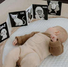 Load image into Gallery viewer, Young Wonderer Black &amp; White Book: Welcome to the World