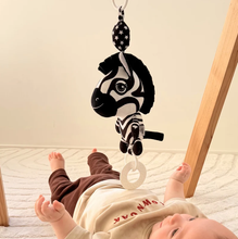 Load image into Gallery viewer, Young Wonderer Ziggy the Zebra: Black &amp; White Baby PramToy