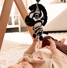 Load image into Gallery viewer, Young Wonderer Ziggy the Zebra: Black &amp; White Baby PramToy