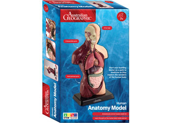 Australian Geographic - Human Anatomy Model (27cm)