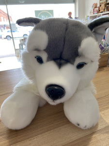 Harry the Husky - Weighted Toy: 2.5kg