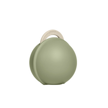 Load image into Gallery viewer, BIBS Pacifier Mini Case - Sage