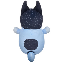 Load image into Gallery viewer, Bluey Squishmallow HugMees 10" Medium: Bandit