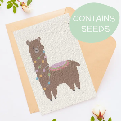 Tilly Scribbles - Chocolate Llama Card (Plantable)