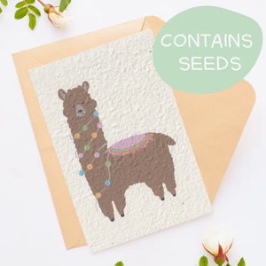 Tilly Scribbles - Chocolate Llama Card (Plantable)