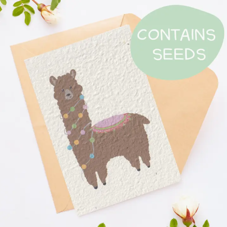 Tilly Scribbles - Chocolate Llama Card (Plantable)