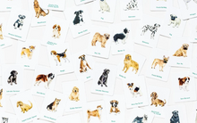 Load image into Gallery viewer, Dogs and Puppies Memory Game