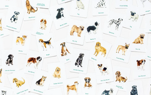 Dogs and Puppies Memory Game