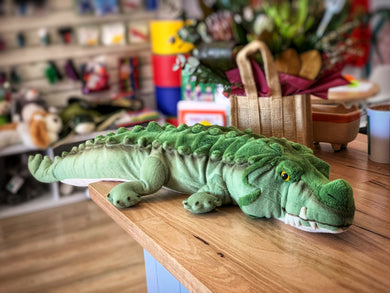 Mr Snappy the Crocodile: Weighted Toy 2Kg