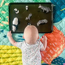 Load image into Gallery viewer, Rudie Nudie Flamingo-A-Go-Go Picnic Rug