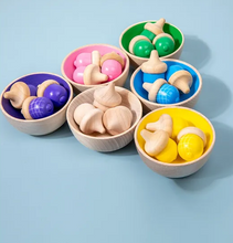 Load image into Gallery viewer, Wooden Colour Classify Sorting Toys: 29 Piece Set