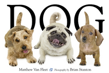 Load image into Gallery viewer, Dog: A Board Book by Matthew Van Fleet