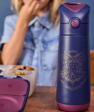 Load image into Gallery viewer, B.Box Insulated Drink Bottle 500ml: Harry Potter
