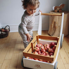 Load image into Gallery viewer, Kinderfeets Wooden Cargo Walker - White