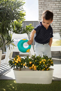Quut Cana Large Watering Can Lagoon Blue & Yellow - The Sensory Studio