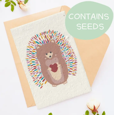 Tilly Scribbles - Rainbow Hedgehog Card (Plantable)