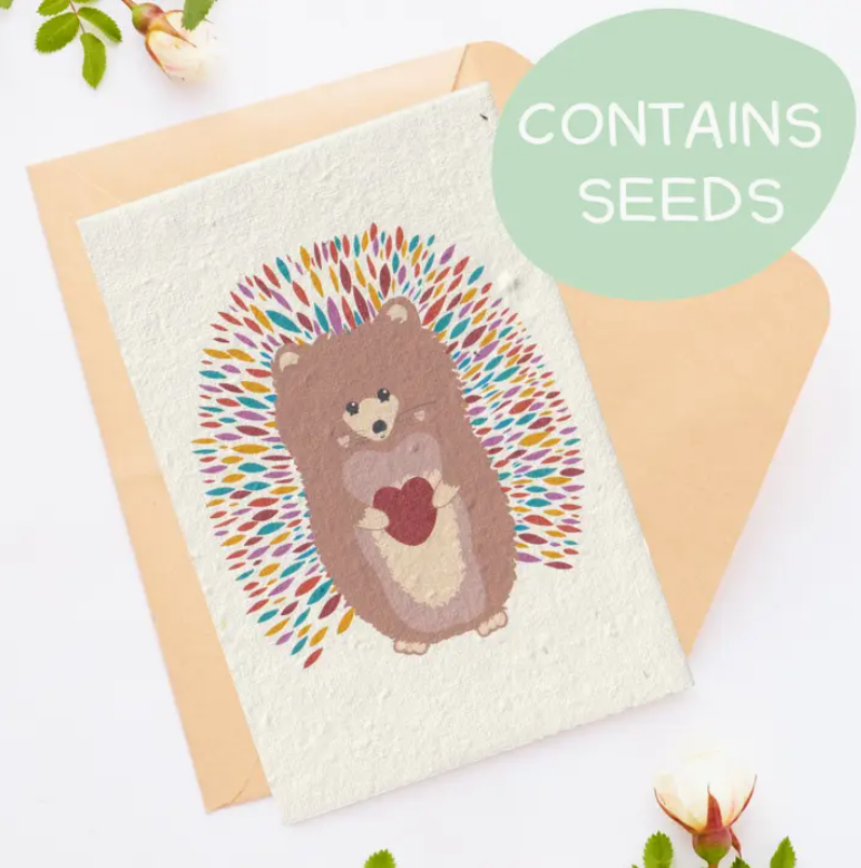 Tilly Scribbles - Rainbow Hedgehog Card (Plantable)