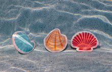 Load image into Gallery viewer, Coast Kids: Shoal Bay Shells Pool Dive Toy