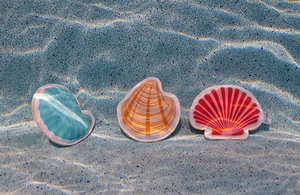 Coast Kids: Shoal Bay Shells Pool Dive Toy