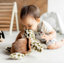 Load image into Gallery viewer, Warmies Heatable Soft Toy: Turtle