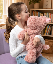 Load image into Gallery viewer, Mini &amp; Me Weighted Plush Toy: Hippo 1.8kg