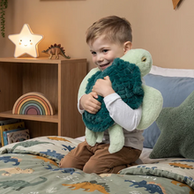 Load image into Gallery viewer, Mini &amp; Me Weighted Plush Toy: Turtle Tranquility 1.8kg