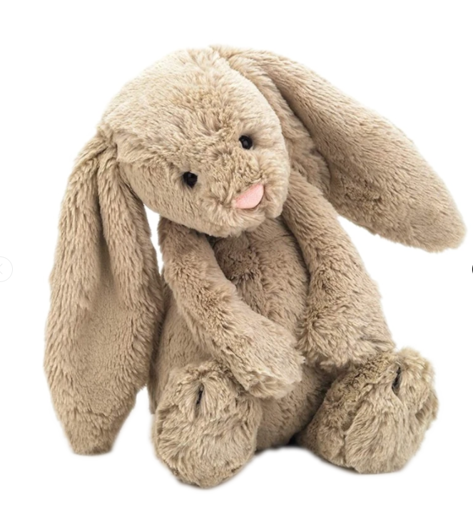 Willow the Bunny Rabbit Weighted Toy: 1.8Kg | Calming Sensory Plush Toy ...