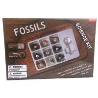 Fossils Science Kit