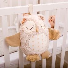 Load image into Gallery viewer, Cloud b - Musical Plush Nighty Night Owl Smart Sensor: On Sale was $79.95