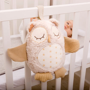 Cloud b - Musical Plush Nighty Night Owl Smart Sensor: On Sale was $79.95