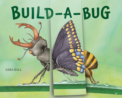 Build a Bug by Sara Ball