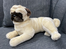 Load image into Gallery viewer, Pugsley the Little Pug  Dog 1.4kg - Weighted Toy