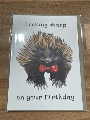 My Tiny Explorer - Looking Sharp Birthday Card