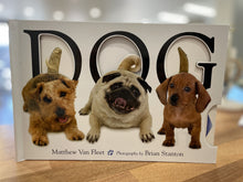 Load image into Gallery viewer, Dog by Matthew Van Fleet - The Sensory Studio