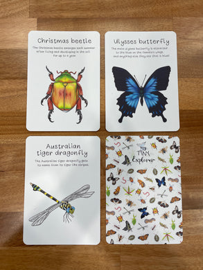 My Tiny Explorer Australian Insect & Bug Flash Cards
