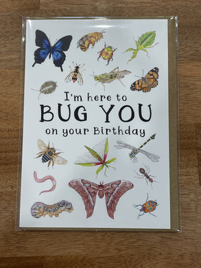 My Tiny Explorer Birthday Card - Bugs